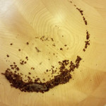 Bedbugs-in-wood-mixing-bowl-kitchen